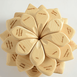 lotus notes