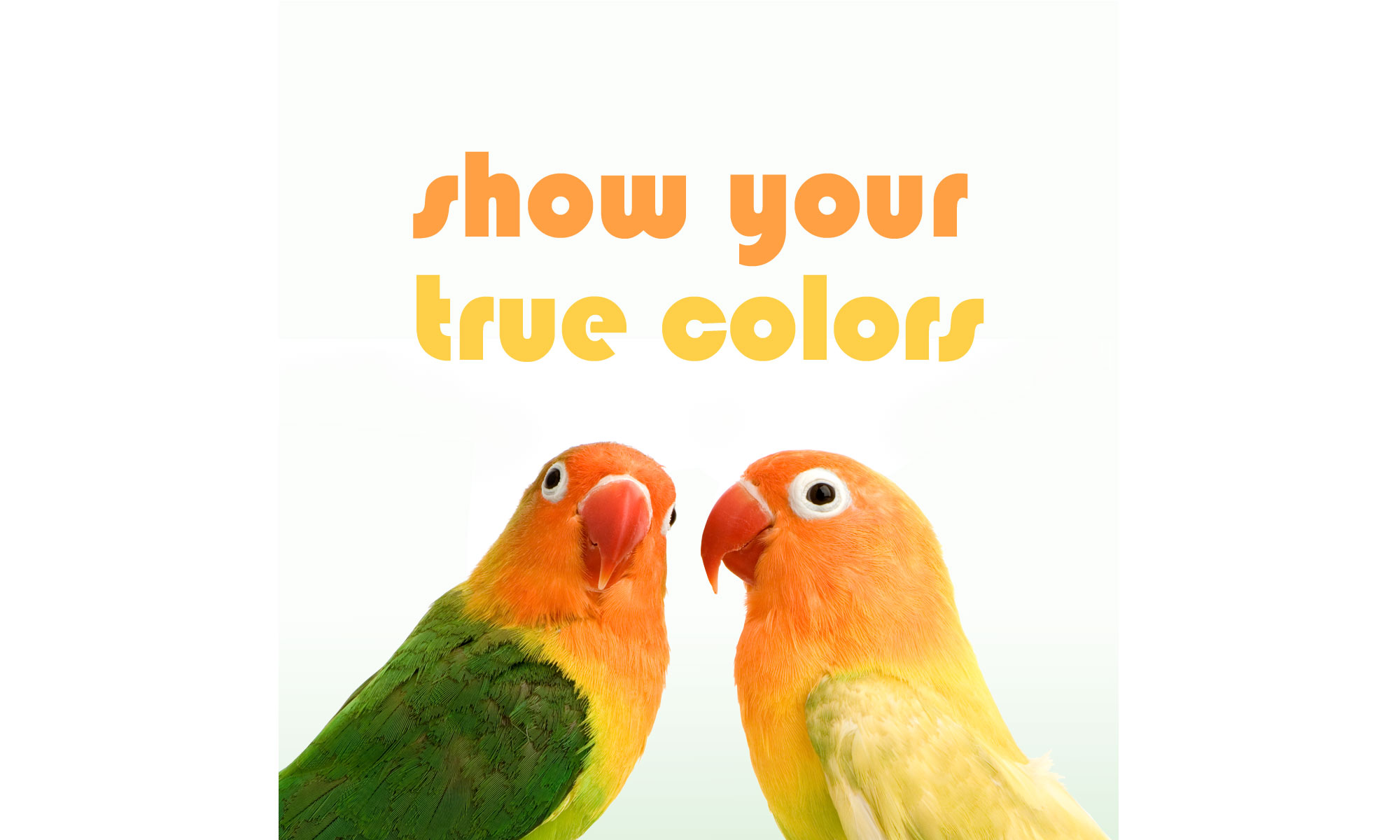 Digital Imaging